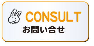 CONSULT ₢킹